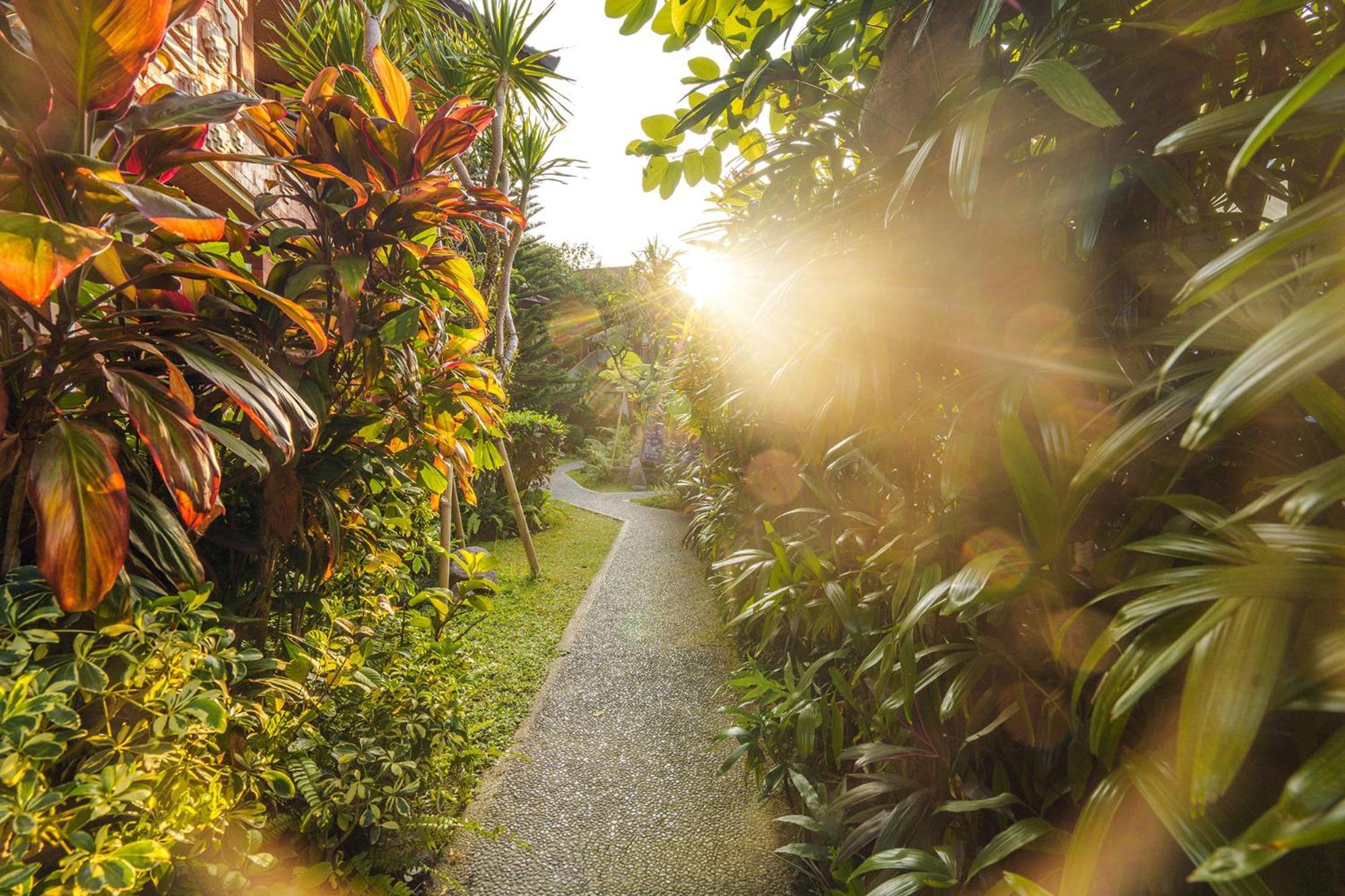 Rama Phala Resort & Spa Ubud Extérieur photo